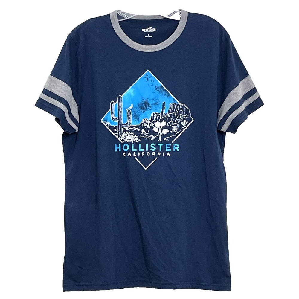 Hollister California Mens Ringer T-Shirt L Blue Grey Desert Cactus Landscape Tee